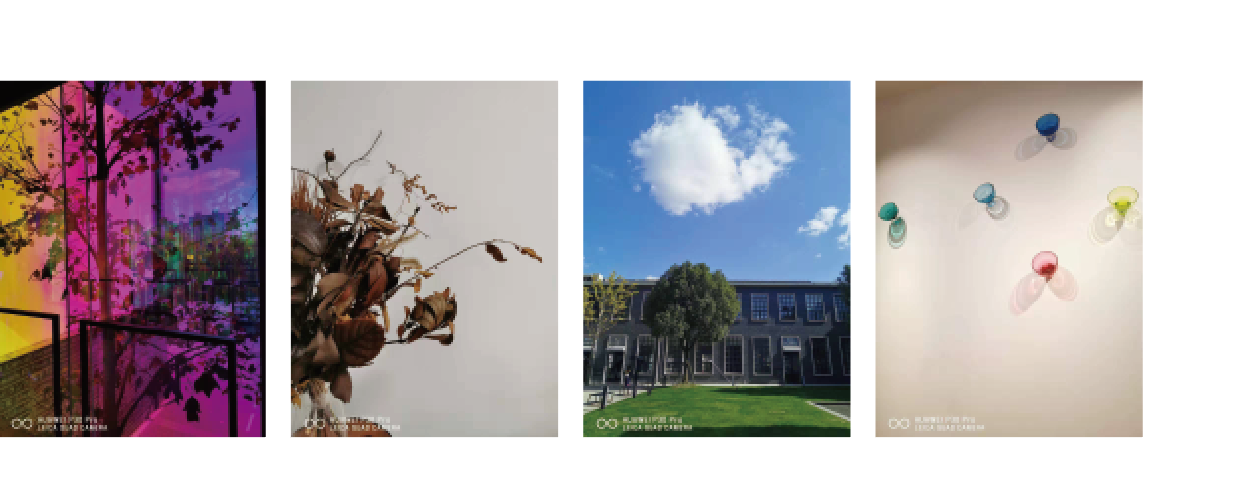 1580720241673098.png image.png